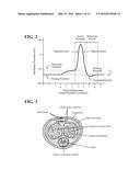 Topical Neurological Stimulation diagram and image