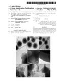 MATERIALS FOR GAS CAPTURE, METHODS OF MAKING MATERIALS FOR GAS CAPTURE,     AND METHODS OF CAPTURING GAS diagram and image