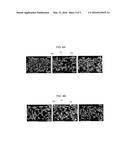 METHOD FOR COATING CATALYST ON DIESEL PARTICULATE FILTER diagram and image