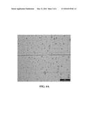 Cementitious Composite Material Including A Plurality Of Filled Fibers diagram and image