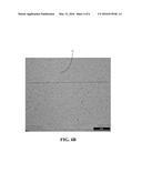 Cementitious Composite Material Including A Plurality Of Filled Fibers diagram and image