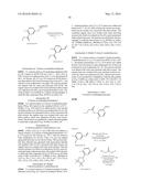 SPIRO-SUBSTITUTED OXINDOLE DERIVATIVES HAVING AMPK ACTIVITY diagram and image