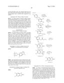 SPIRO-SUBSTITUTED OXINDOLE DERIVATIVES HAVING AMPK ACTIVITY diagram and image