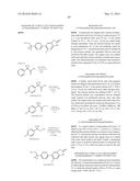 SPIRO-SUBSTITUTED OXINDOLE DERIVATIVES HAVING AMPK ACTIVITY diagram and image