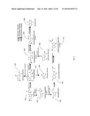 PATHWAY SPECIFIC ASSAYS FOR PREDICTING IRRITABLE BOWEL SYNDROME DIAGNOSIS diagram and image