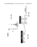 PATHWAY SPECIFIC ASSAYS FOR PREDICTING IRRITABLE BOWEL SYNDROME DIAGNOSIS diagram and image