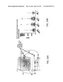 PATHWAY SPECIFIC ASSAYS FOR PREDICTING IRRITABLE BOWEL SYNDROME DIAGNOSIS diagram and image