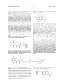 PATHWAY SPECIFIC ASSAYS FOR PREDICTING IRRITABLE BOWEL SYNDROME DIAGNOSIS diagram and image