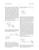 PATHWAY SPECIFIC ASSAYS FOR PREDICTING IRRITABLE BOWEL SYNDROME DIAGNOSIS diagram and image