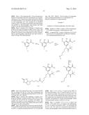 PATHWAY SPECIFIC ASSAYS FOR PREDICTING IRRITABLE BOWEL SYNDROME DIAGNOSIS diagram and image