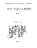 COMPOSITIONS AND METHODS FOR SPECIFIC REGULATION OF PYRUVATE DEHYDROGENASE     KINASE diagram and image