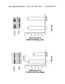 COMPOSITIONS AND METHODS FOR SPECIFIC REGULATION OF PYRUVATE DEHYDROGENASE     KINASE diagram and image