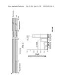 COMPOSITIONS AND METHODS FOR SPECIFIC REGULATION OF PYRUVATE DEHYDROGENASE     KINASE diagram and image