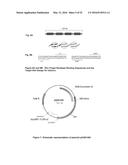 OPTIMIZED NON-CANONICAL ZINC FINGER PROTEINS diagram and image