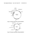 OPTIMIZED NON-CANONICAL ZINC FINGER PROTEINS diagram and image