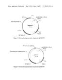 OPTIMIZED NON-CANONICAL ZINC FINGER PROTEINS diagram and image