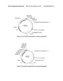 OPTIMIZED NON-CANONICAL ZINC FINGER PROTEINS diagram and image