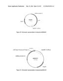 OPTIMIZED NON-CANONICAL ZINC FINGER PROTEINS diagram and image