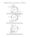 OPTIMIZED NON-CANONICAL ZINC FINGER PROTEINS diagram and image