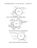 OPTIMIZED NON-CANONICAL ZINC FINGER PROTEINS diagram and image