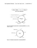 OPTIMIZED NON-CANONICAL ZINC FINGER PROTEINS diagram and image