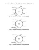 OPTIMIZED NON-CANONICAL ZINC FINGER PROTEINS diagram and image