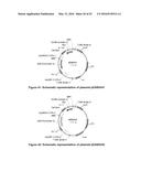 OPTIMIZED NON-CANONICAL ZINC FINGER PROTEINS diagram and image