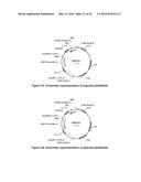 OPTIMIZED NON-CANONICAL ZINC FINGER PROTEINS diagram and image