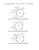 OPTIMIZED NON-CANONICAL ZINC FINGER PROTEINS diagram and image