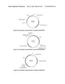 OPTIMIZED NON-CANONICAL ZINC FINGER PROTEINS diagram and image