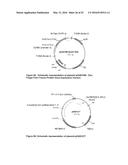 OPTIMIZED NON-CANONICAL ZINC FINGER PROTEINS diagram and image