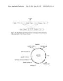 OPTIMIZED NON-CANONICAL ZINC FINGER PROTEINS diagram and image