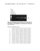 OPTIMIZED NON-CANONICAL ZINC FINGER PROTEINS diagram and image