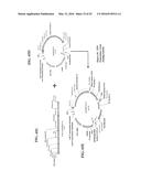 OPTIMIZED NON-CANONICAL ZINC FINGER PROTEINS diagram and image