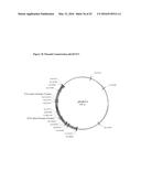 OPTIMIZED NON-CANONICAL ZINC FINGER PROTEINS diagram and image