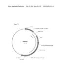 OPTIMIZED NON-CANONICAL ZINC FINGER PROTEINS diagram and image