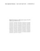 OPTIMIZED NON-CANONICAL ZINC FINGER PROTEINS diagram and image