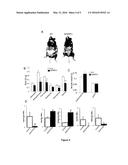 A GROWTH HORMONE SECRETAGOGUE RECEPTOR BASED PROTEIN, NUCLEIC ACIDS AND     METHODS AND USES THEREOF diagram and image