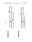 Chimeric and Humanized Anti-Histone Antibodies diagram and image