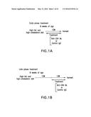 NOTCH INHIBITION IN THE TREATMENT AND PREVENTION OF OBESITY diagram and image