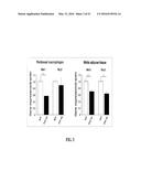 NOTCH INHIBITION IN THE TREATMENT AND PREVENTION OF OBESITY diagram and image