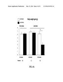 NOTCH INHIBITION IN THE TREATMENT AND PREVENTION OF OBESITY diagram and image