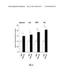 NOTCH INHIBITION IN THE TREATMENT AND PREVENTION OF OBESITY diagram and image