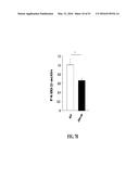 NOTCH INHIBITION IN THE TREATMENT AND PREVENTION OF OBESITY diagram and image