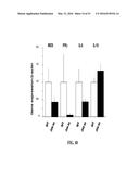 NOTCH INHIBITION IN THE TREATMENT AND PREVENTION OF OBESITY diagram and image