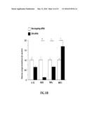 NOTCH INHIBITION IN THE TREATMENT AND PREVENTION OF OBESITY diagram and image