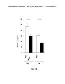 NOTCH INHIBITION IN THE TREATMENT AND PREVENTION OF OBESITY diagram and image