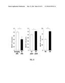 NOTCH INHIBITION IN THE TREATMENT AND PREVENTION OF OBESITY diagram and image