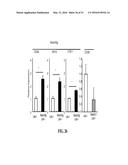 NOTCH INHIBITION IN THE TREATMENT AND PREVENTION OF OBESITY diagram and image