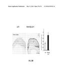 NOTCH INHIBITION IN THE TREATMENT AND PREVENTION OF OBESITY diagram and image